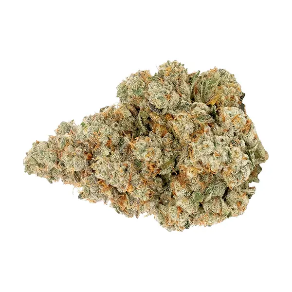 Bud image for Prime8 Fuel, cannabis all products by Northern Canna