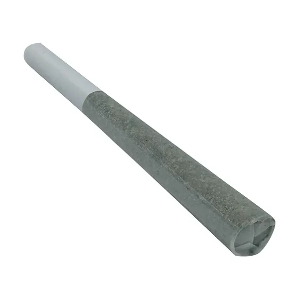 Rocket Booster Pre-roll (Pre-Rolls) by Rocket Factory