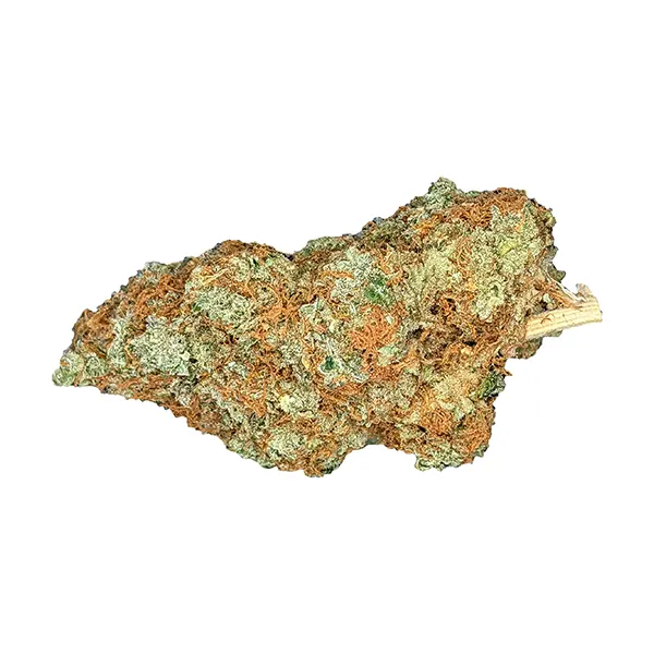 Future Island (Dried Flower) by Cannabiomedic