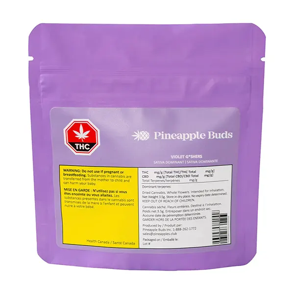 Violet Gshers (Dried Flower) by Pineapple Buds