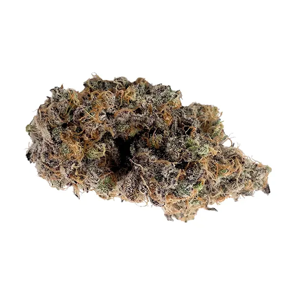 Not The GovernMINT (Dried Flower) by Your Dealer