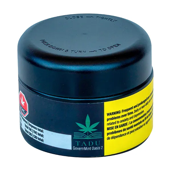 Not The GovernMINT (Dried Flower) by Your Dealer