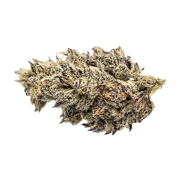 Bud image for James' Celebration: Craft Small Batch Rotational, cannabis dried flower by Seaweed