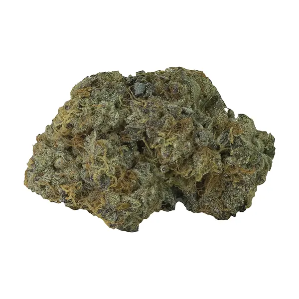 Ghost OG