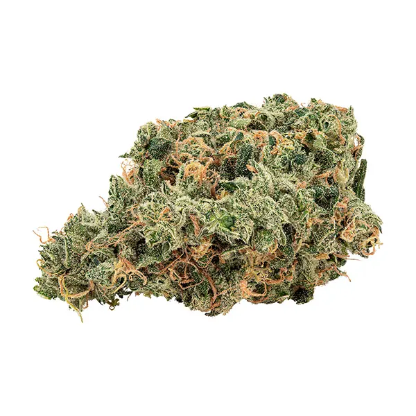 Bud image for Ultra Jean-G, cannabis all products by Holy Mountain