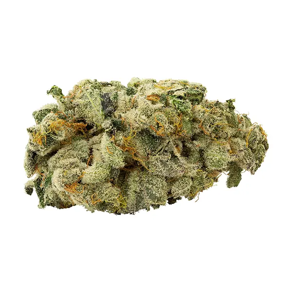 Pink Kush Mints