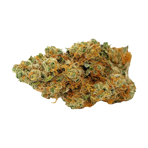 Chemnesia (Dried Flower) by Highland Grow