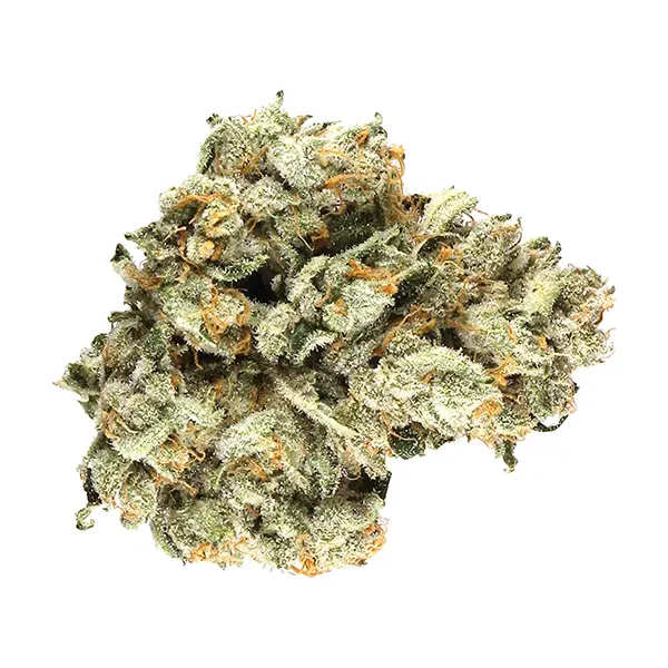 Bud image for Maple Pancakes, cannabis dried flower by Potluck