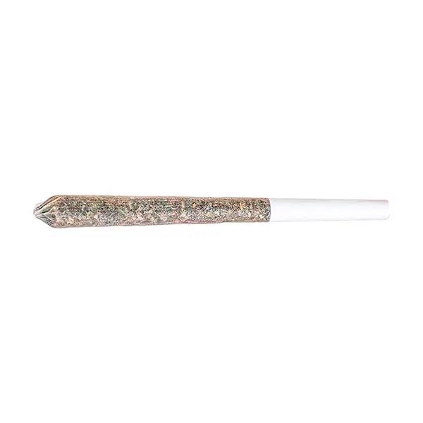 Northern Lights Pre-Roll (Pre-Rolls) by Station House