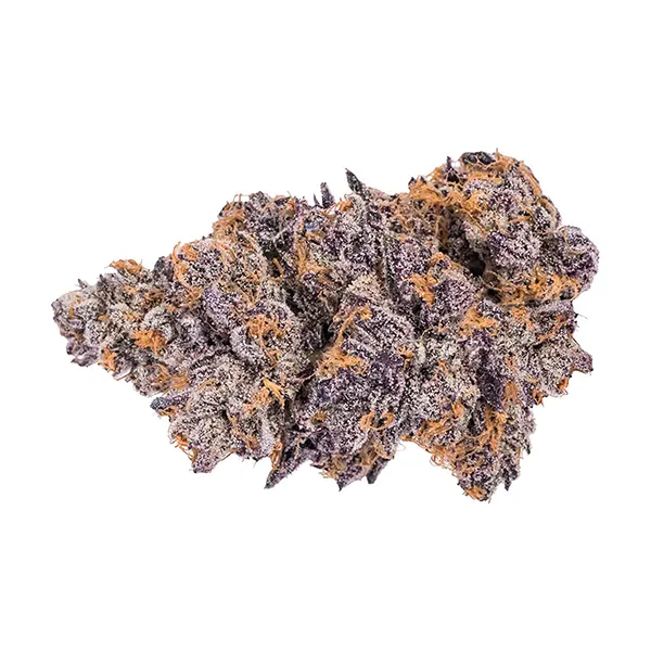Craft Collection - Sativa (Dried Flower) by Sensimila