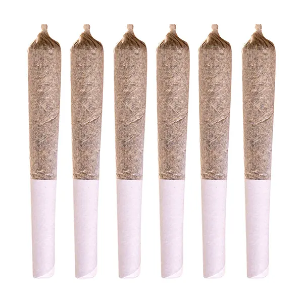 Canadian Northern Series Pre-Roll (Pre-Rolls) by Station House
