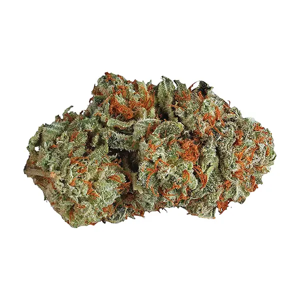 LA Confidential (Dried Flower) by Station House