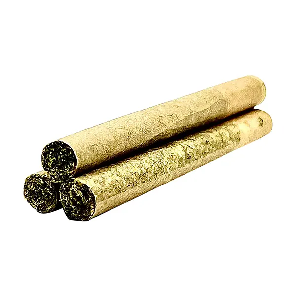 Image for Mango Tango Pre-Roll, cannabis all products by GRDNWRKS