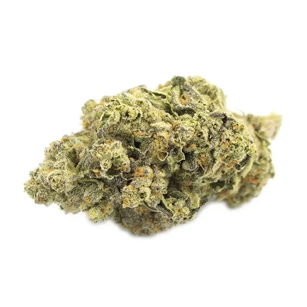 Bud image for Chunk Dawg, cannabis all products by Terp Town Collective
