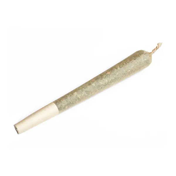 Image for Chunk Dawg Pre-Roll, cannabis all products by Terp Town Collective