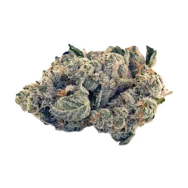 GSC Kush (Dried Flower) by Flint & Embers