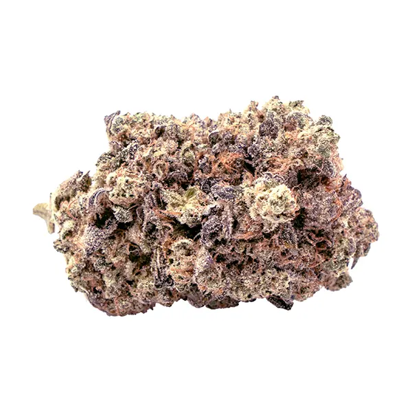 Bud image for Lazer Wolf, cannabis dried flower by Terp Town Collective