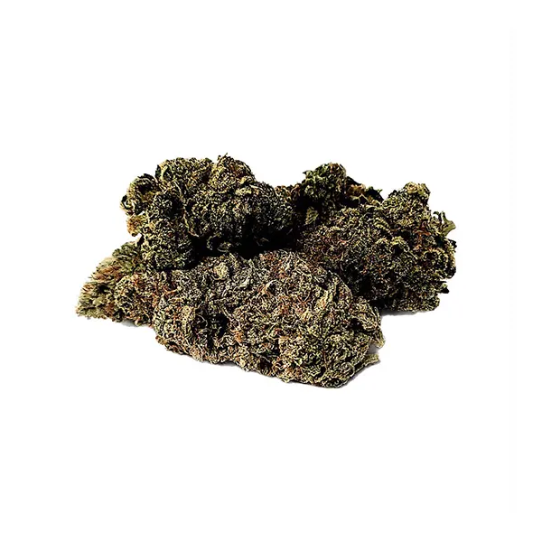 Hulkberry (Dried Flower) by KushKraft