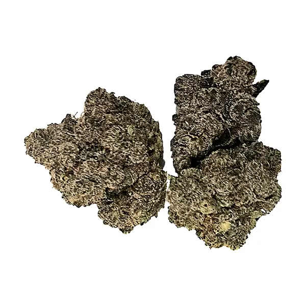 Honey OG (Dried Flower) by Buzz'd