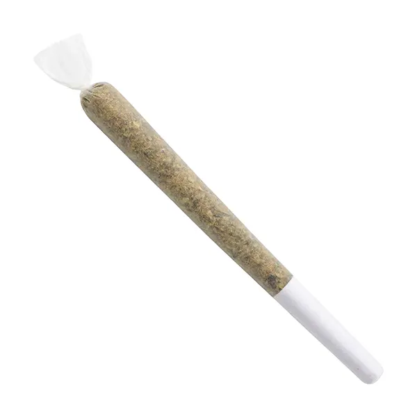Product image for Popcorn Cannabis Flower by Freedom Cannabis