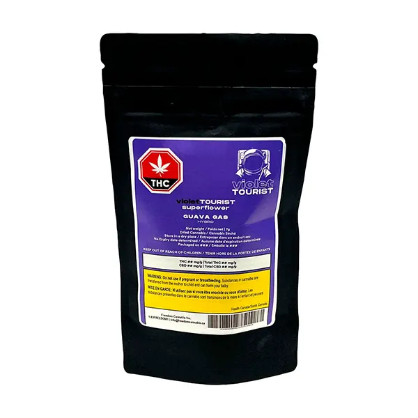Guava Gas Superflower (Dried Flower) by Violet Tourist
