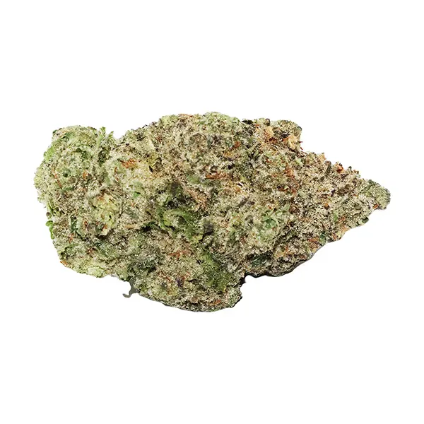 Superflower Ligh..