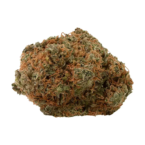 Fast Lane Sativa
