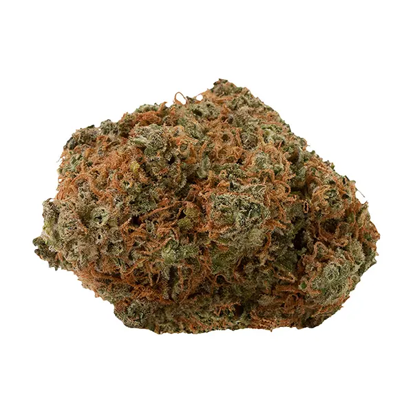 Fast Lane Sativa