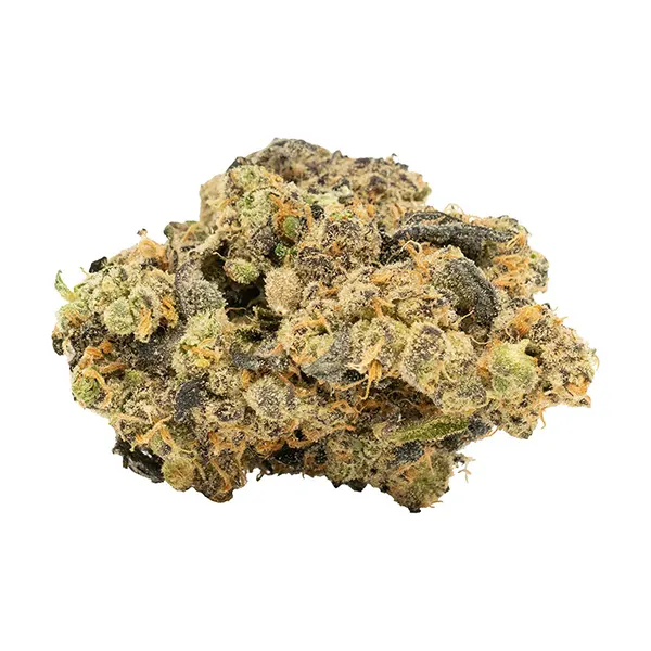 Lime MAC (Dried Flower) by Doja