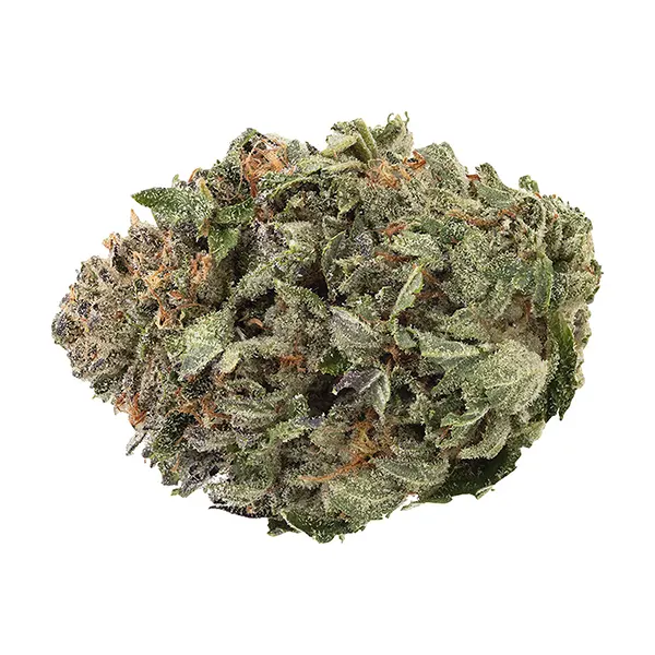 Organic Death Bubba (Dried Flower) by 1964