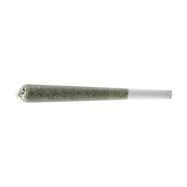 Image for Rosin Roll Infused Pre-Roll, cannabis all products by Simply Bare
