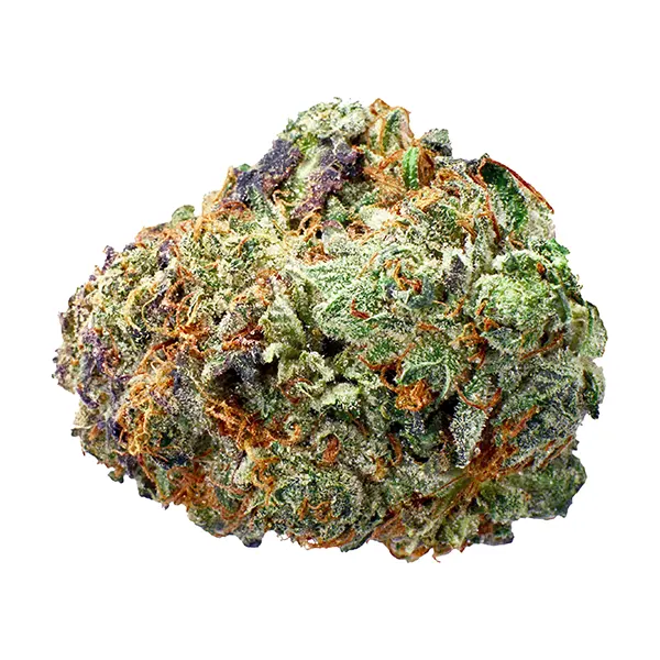 Bud image for Pink Kush, cannabis all products by Flowr