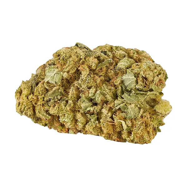 Product image for Good Supply Cannabis Flower by Tilray Brands Inc