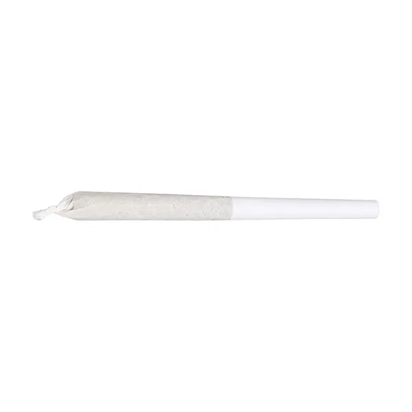 Image for Perk & Work Sativa Variety Pack Pre-Roll, cannabis pre-rolls by Good Supply