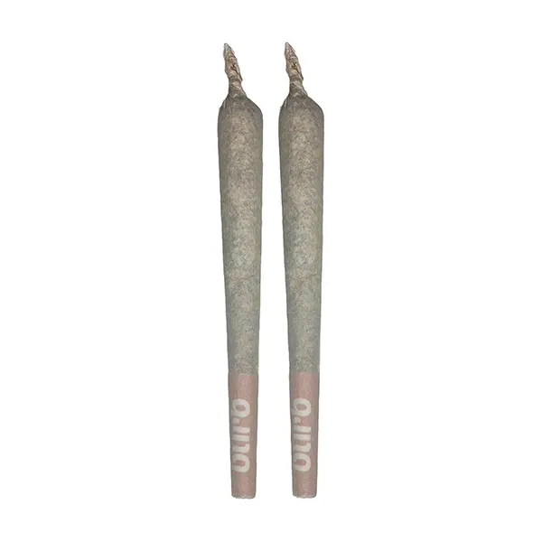 Image for Cactus Milk Pre-Roll, cannabis all products by Burb