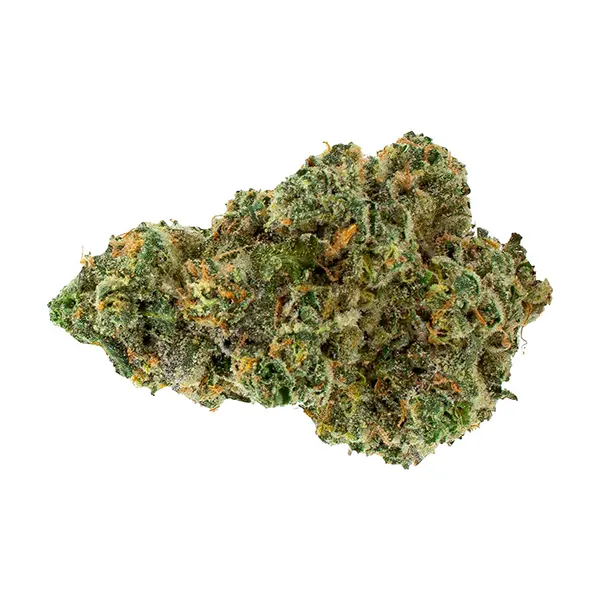 Michigan Melonz (Dried Flower) by 3rd Coast Genetics