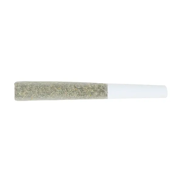Image for Peanut Butter Cake Pre-Roll, cannabis all products by Encore Supply Co