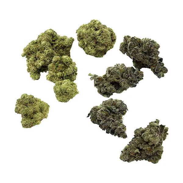VCC
