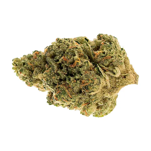 Gravity Cookies