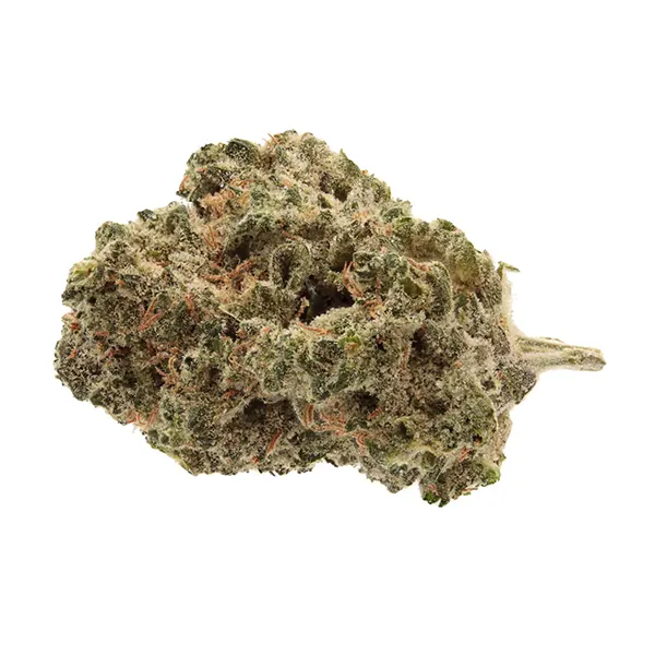 Elios Reserve Dark Shadow Haze (Dried Flower) by Elios Reserve