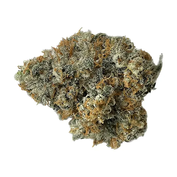 Flavour Club (Dried Flower) by The Drip