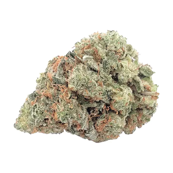 Bud image for Mary-go-round, cannabis dried flower by Dom Jackson