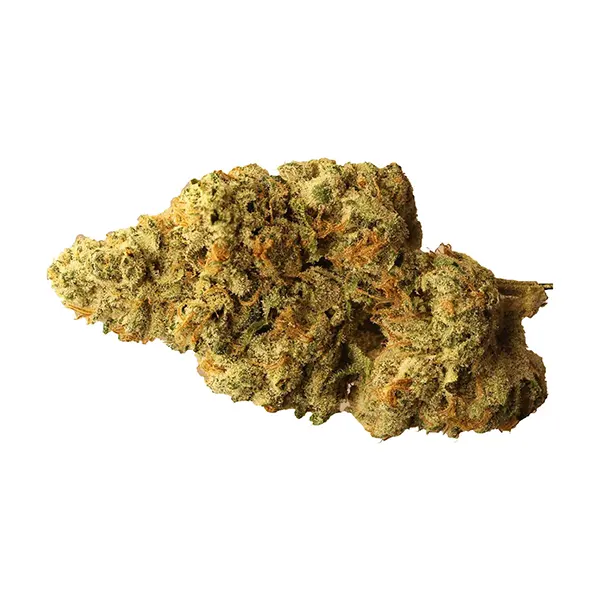 Ghost Banner Pre-Roll (Dried Flower) by Dom Jackson