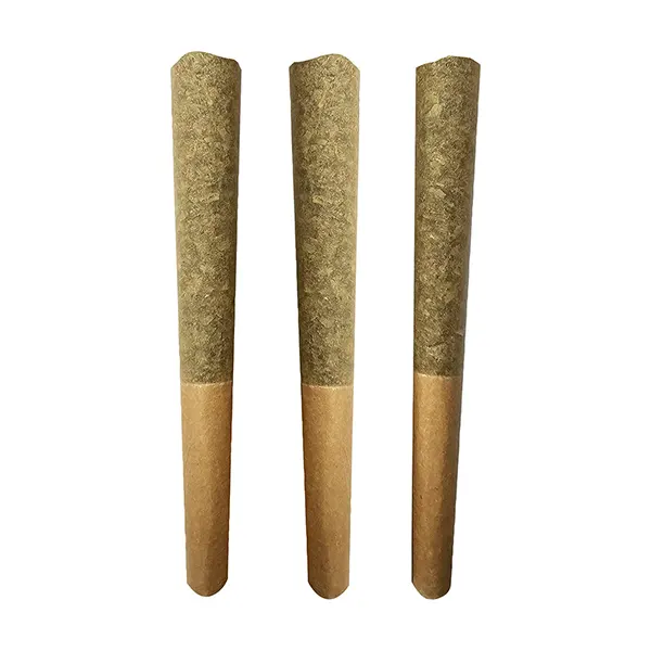 Image for Flavour Club Pre-Roll, cannabis all products by The Drip