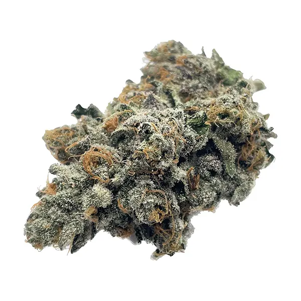 Candy Gas (Dried Flower) by The Drip
