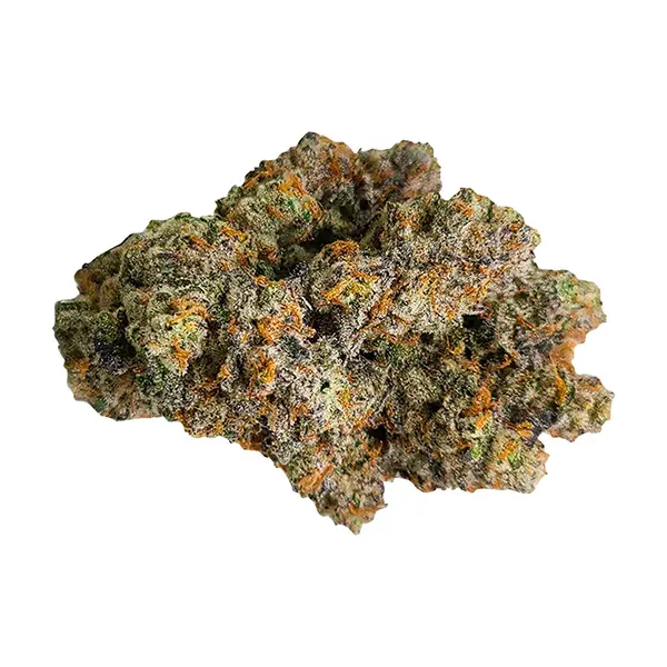 Bud image for G-Wagon, cannabis dried flower by Victoria Cannabis