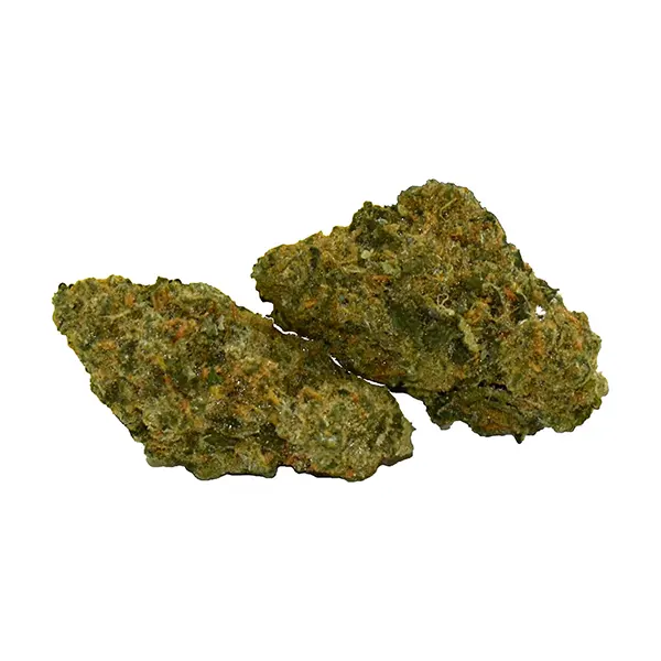 Bud image for Sacred Sage, cannabis all products by Ritual Green