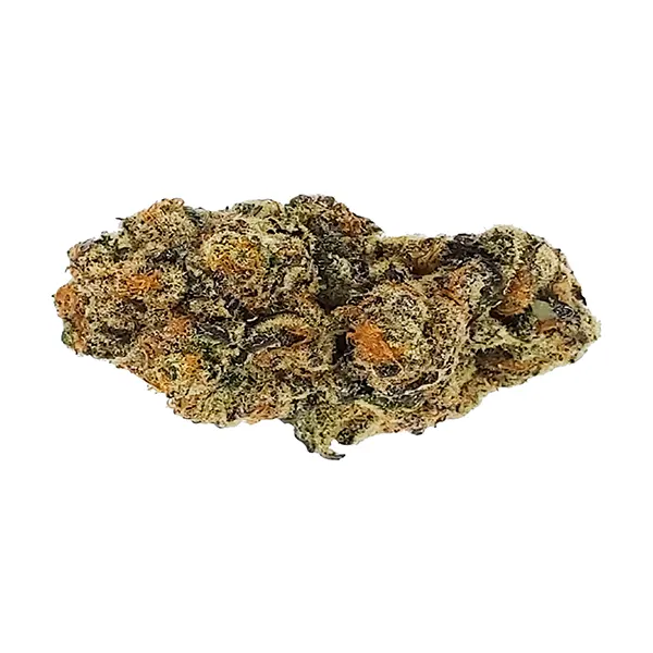 Punch Mints