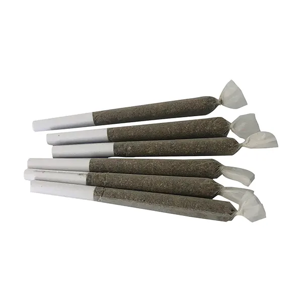 Image for Test Driver Pre-Roll, cannabis all products by Partake
