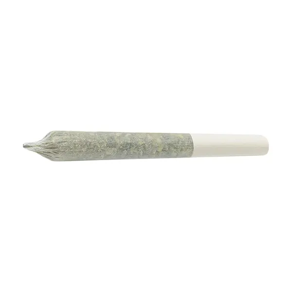 Image for Sweet Diesel Pre-Roll, cannabis all products by Tam Tams